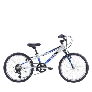 Apollo Neo  20" 6s Kids Bikes - Brushed Alloy / Black / Blue Fade